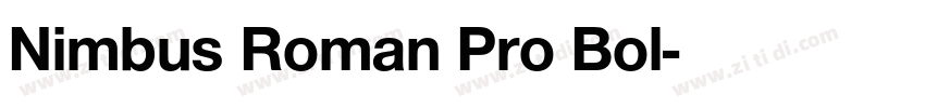 Nimbus Roman Pro Bol字体转换 Nimbus Roman Pro Bol字体转换